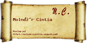 Molnár Cintia névjegykártya